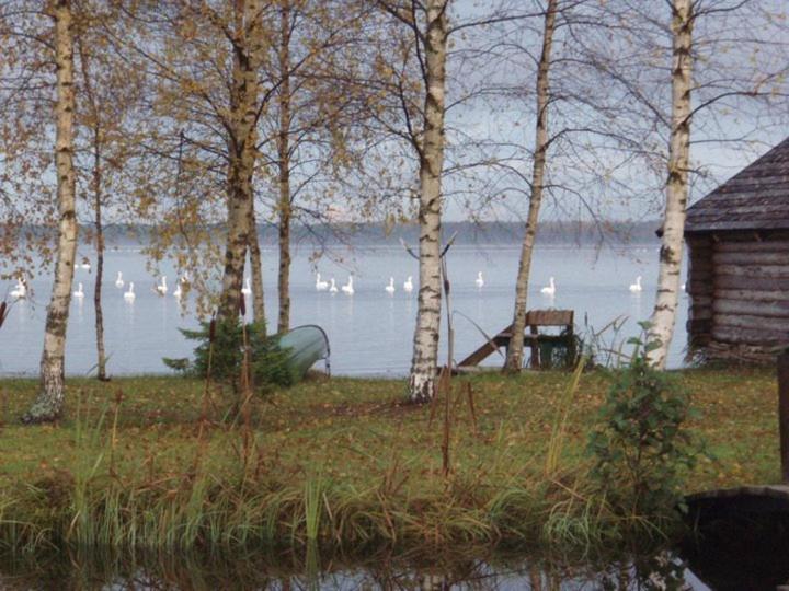 Hiie Talu Pensionat Kahala Exteriör bild